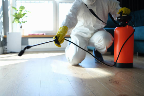 Professional Pest Control in Colchester, IL