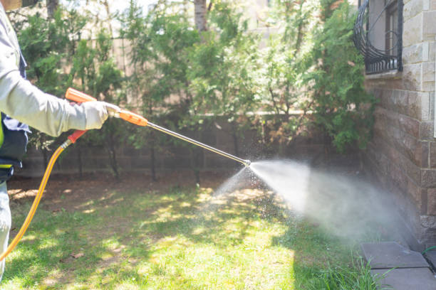 Best Best Pest Control Companies  in Colchester, IL