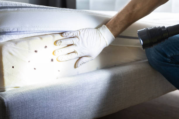 Wildlife Control Services in Colchester, IL