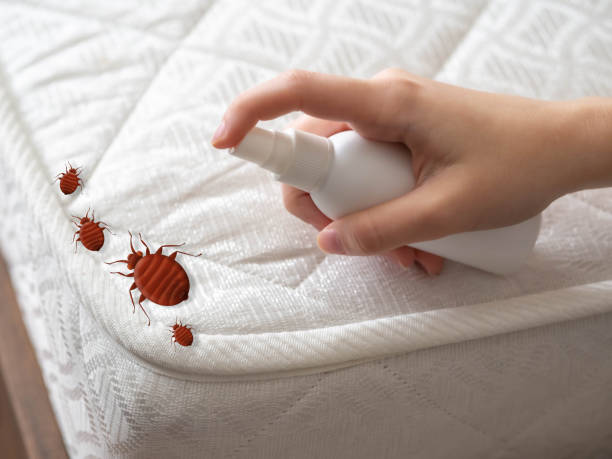 Best Pest Removal Services  in Colchester, IL