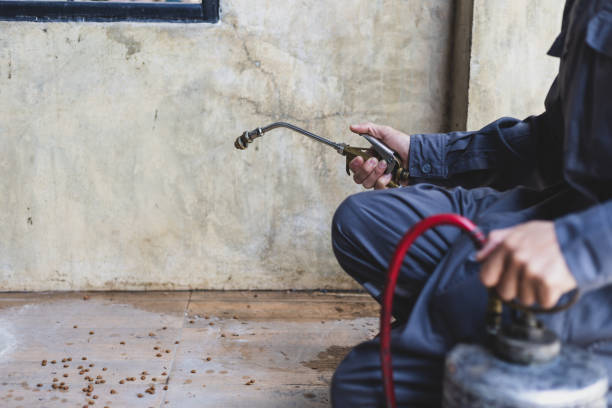 Best Exterminator Services  in Colchester, IL